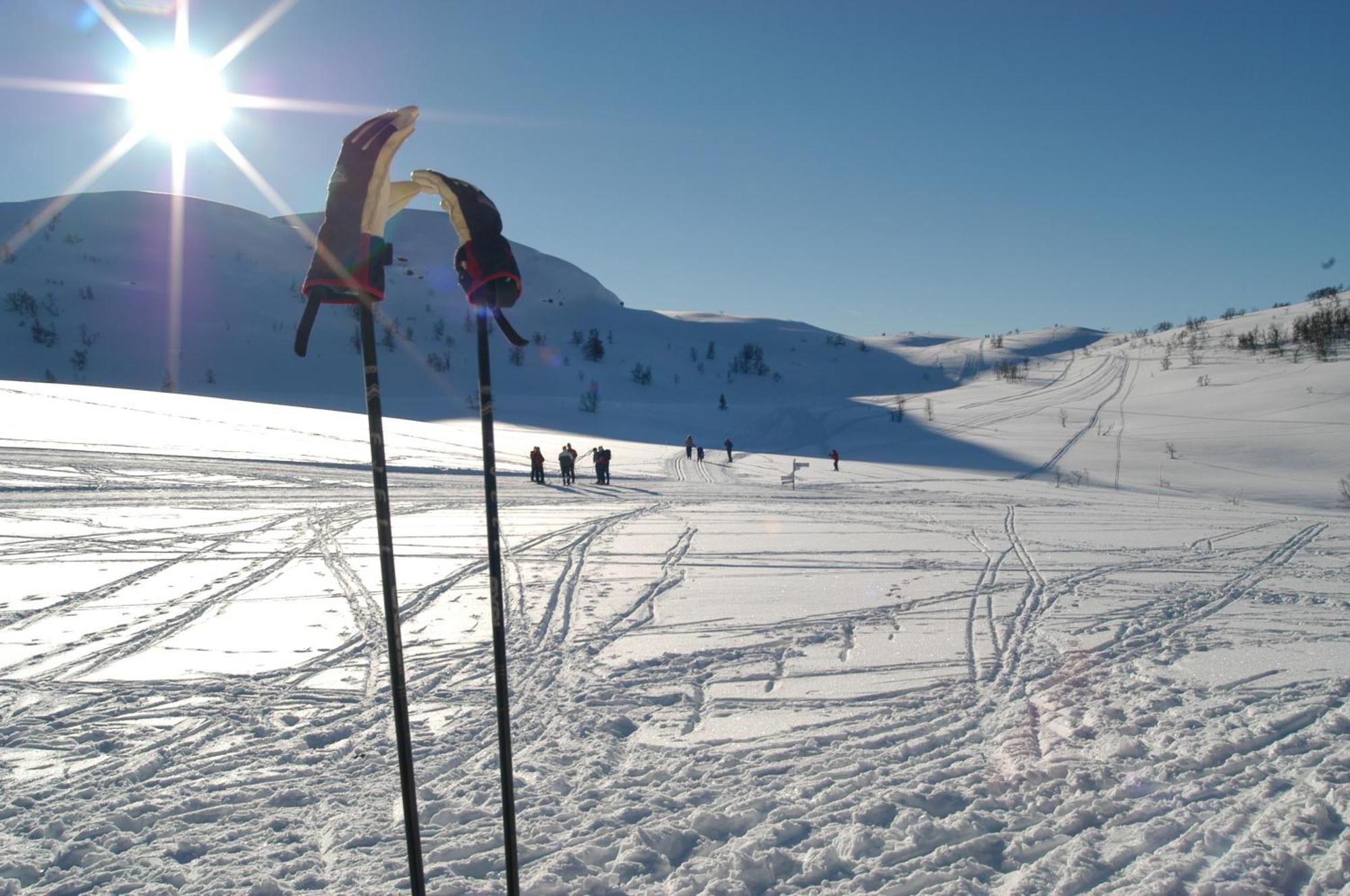 Rauland Hogfjellshotell Exterior foto